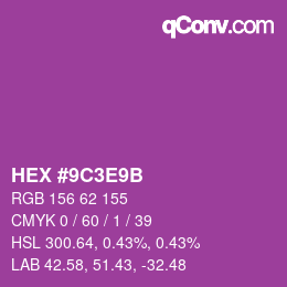 Color code: HEX #9C3E9B | qconv.com