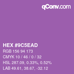 Color code: HEX #9C5EAD | qconv.com