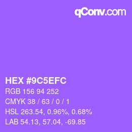 Color code: HEX #9C5EFC | qconv.com