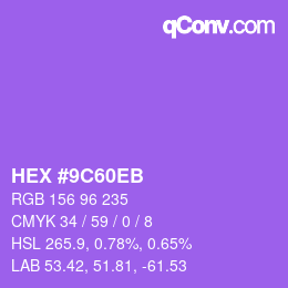 Color code: HEX #9C60EB | qconv.com