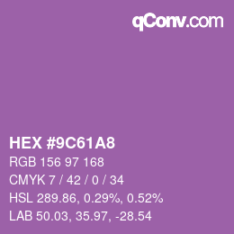 Color code: HEX #9C61A8 | qconv.com