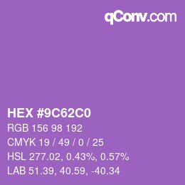 Color code: HEX #9C62C0 | qconv.com