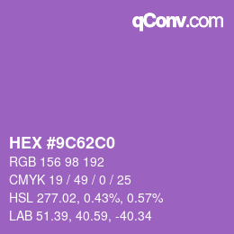 Color code: HEX #9C62C0 | qconv.com