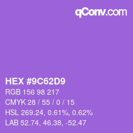 Color code: HEX #9C62D9 | qconv.com