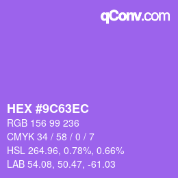 Color code: HEX #9C63EC | qconv.com