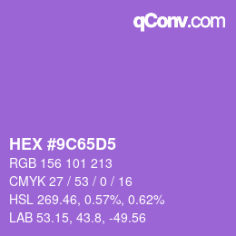 Color code: HEX #9C65D5 | qconv.com