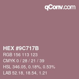 Color code: HEX #9C717B | qconv.com