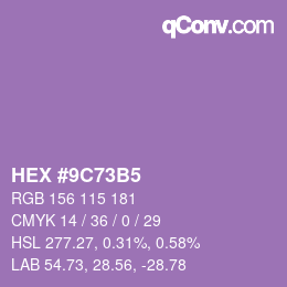 颜色代码: HEX #9C73B5 | qconv.com