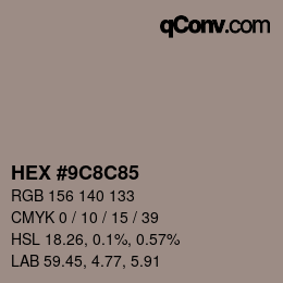 Color code: HEX #9C8C85 | qconv.com