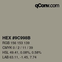 Color code: HEX #9C998B | qconv.com