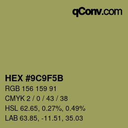 Color code: HEX #9C9F5B | qconv.com