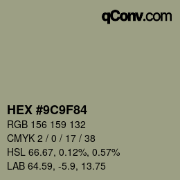 Color code: HEX #9C9F84 | qconv.com