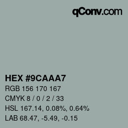 Color code: HEX #9CAAA7 | qconv.com