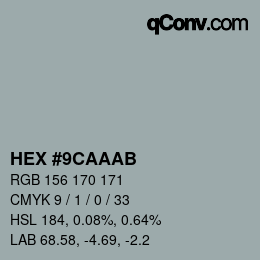 Color code: HEX #9CAAAB | qconv.com