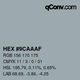 Color code: HEX #9CAAAF | qconv.com