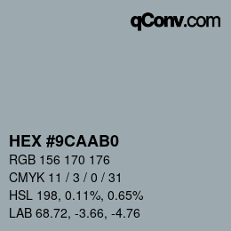 Color code: HEX #9CAAB0 | qconv.com