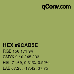 颜色代码: HEX #9CAB5E | qconv.com