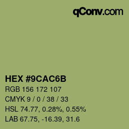 Color code: HEX #9CAC6B | qconv.com