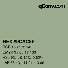 Color code: HEX #9CAC8F | qconv.com