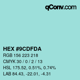 Color code: HEX #9CDFDA | qconv.com