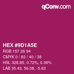 Color code: HEX #9D1A5E | qconv.com