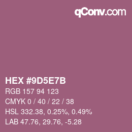 Color code: HEX #9D5E7B | qconv.com