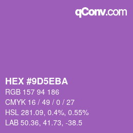 Color code: HEX #9D5EBA | qconv.com
