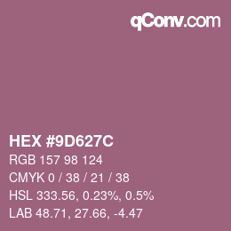 颜色代码: HEX #9D627C | qconv.com