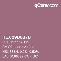 Color code: HEX #9D6B7D | qconv.com