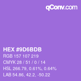 Color code: HEX #9D6BDB | qconv.com