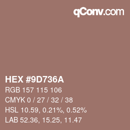 Color code: HEX #9D736A | qconv.com