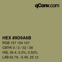 Color code: HEX #9D9A6B | qconv.com