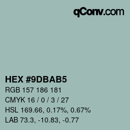 Color code: HEX #9DBAB5 | qconv.com