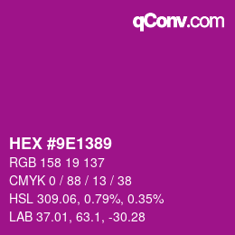 カラーコード: HEX #9E1389 | qconv.com