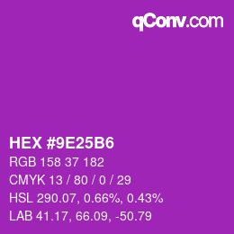 カラーコード: HEX #9E25B6 | qconv.com