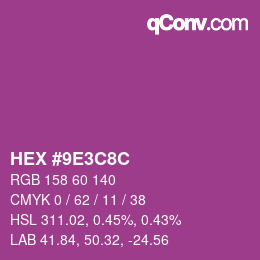 Color code: HEX #9E3C8C | qconv.com