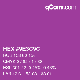 Color code: HEX #9E3C9C | qconv.com