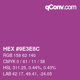 Color code: HEX #9E3E8C | qconv.com