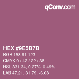 Color code: HEX #9E5B7B | qconv.com