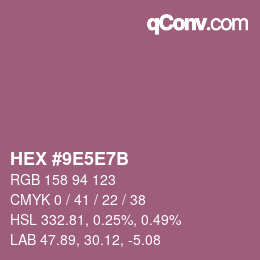 Color code: HEX #9E5E7B | qconv.com