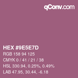 Color code: HEX #9E5E7D | qconv.com