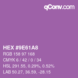 Color code: HEX #9E61A8 | qconv.com