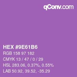 Color code: HEX #9E61B6 | qconv.com
