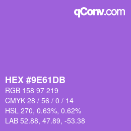 Color code: HEX #9E61DB | qconv.com