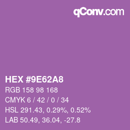 颜色代码: HEX #9E62A8 | qconv.com