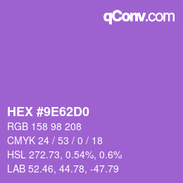 颜色代码: HEX #9E62D0 | qconv.com