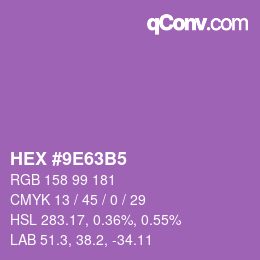 Color code: HEX #9E63B5 | qconv.com
