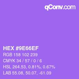 Color code: HEX #9E66EF | qconv.com