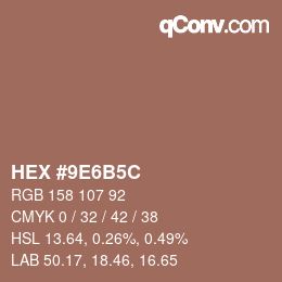 Color code: HEX #9E6B5C | qconv.com