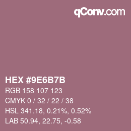 颜色代码: HEX #9E6B7B | qconv.com